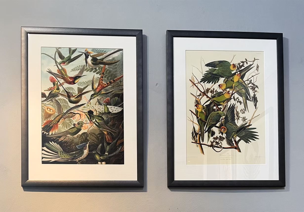 Every Wall Deserves  a <span>Masterpiece</span